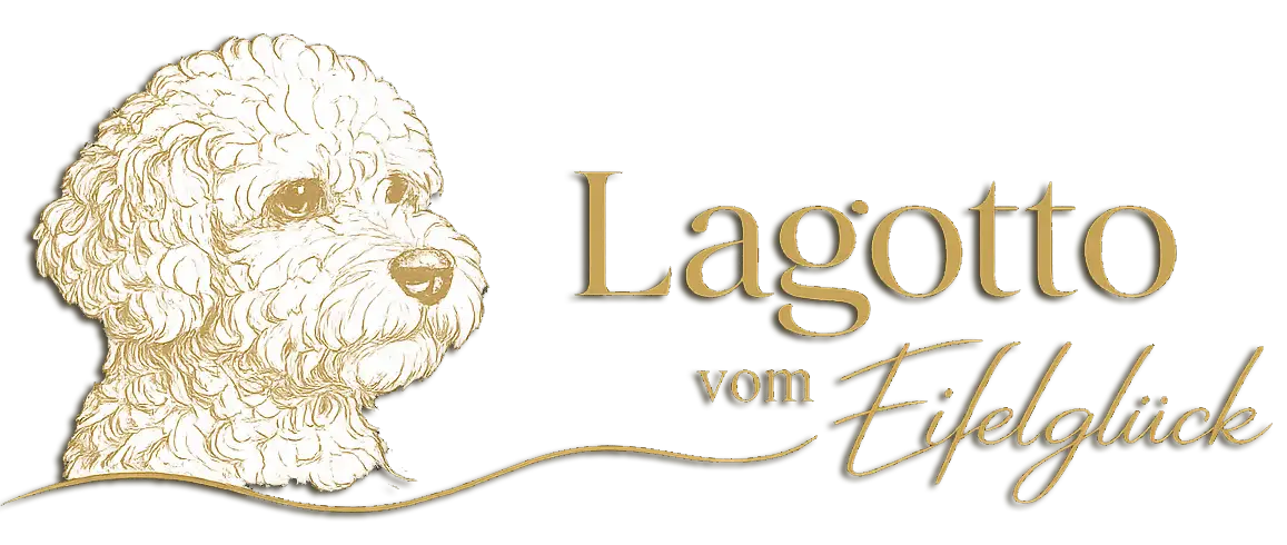 Lagotto vom Eifelglück