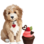 Torte backen mit Lotti