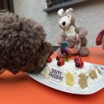 Lottis 5. Geburtstag