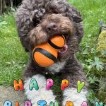 Lotti hat Geburtstag