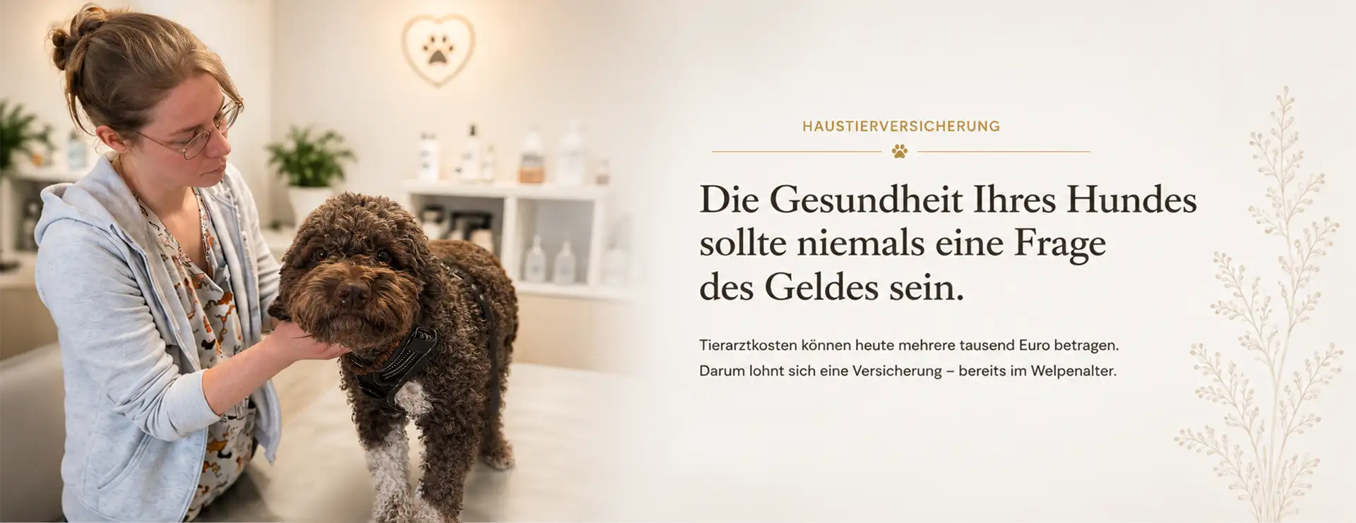 Untersuchung bei Tierarzt