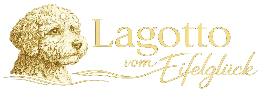 Lagotto vom Eifelglück