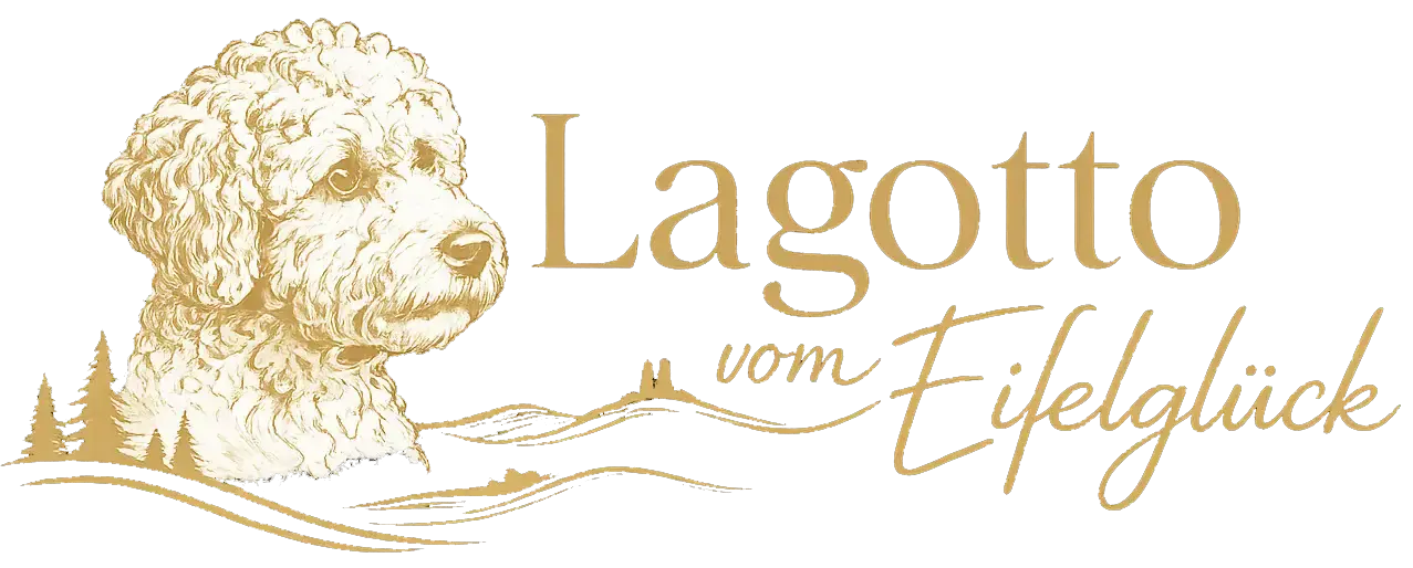 Lagotto vom Eifelglück